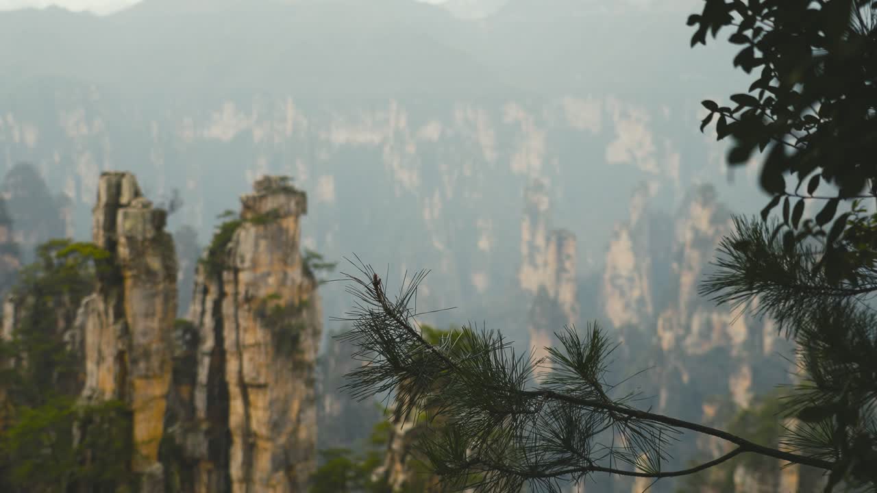 Misty Mountains of Zhangjiajie National Forest Park, China