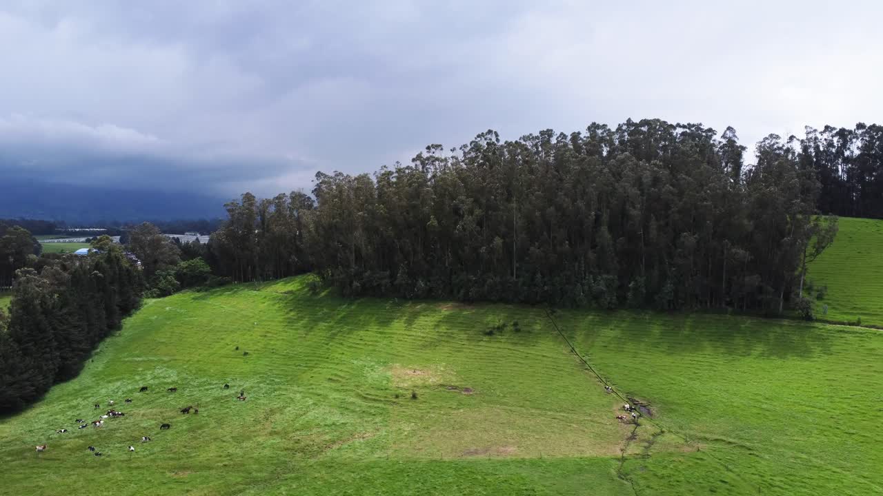 video aéreo de un bosque exuberante que muestra en el fondo el sector del obelisco en la parroquia de alóag en el cantón mejía, provincia de pichincha, ecuador
