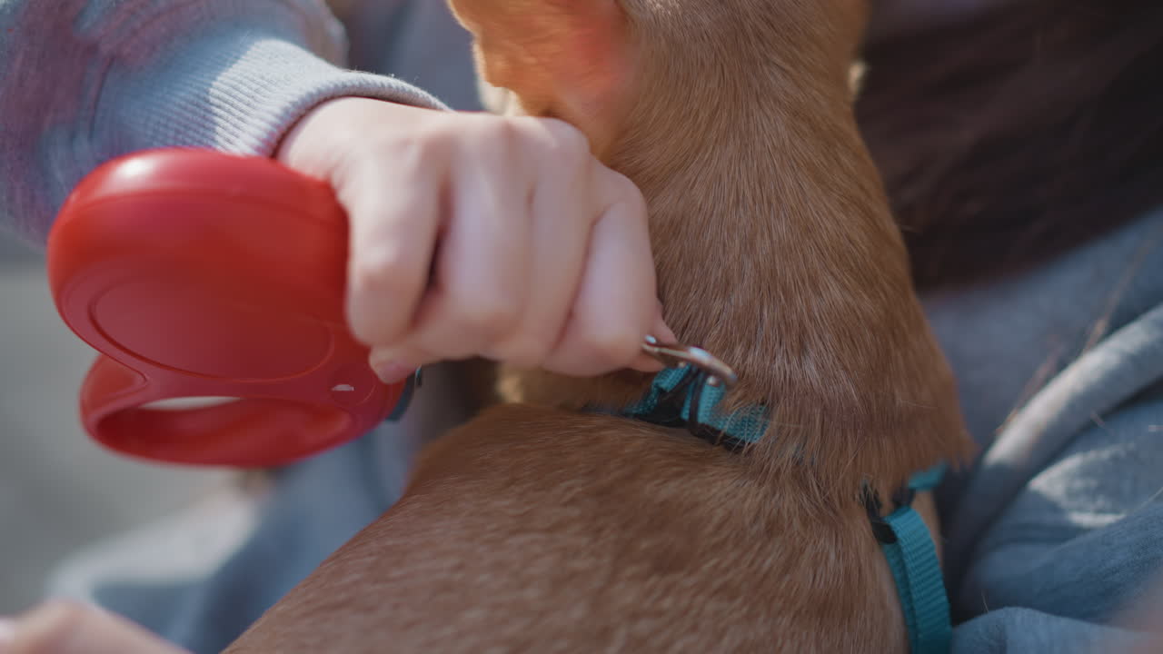 여성이 야외에서 목줄을 잡고 있는 모습, 여성과 개 목줄이 있는 공원 배경, 여성이 공원에서 목줄로 개를 진정시키는 모습, 개폐식 목줄을 사용하여 여성이 개를 진정시키는 야외 공원 장면