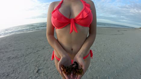 mujer en bikini en la playa muestra algas marinas