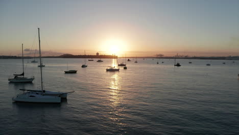 overflight among yachts, boats in auckland harbour at sunset, aerial shot