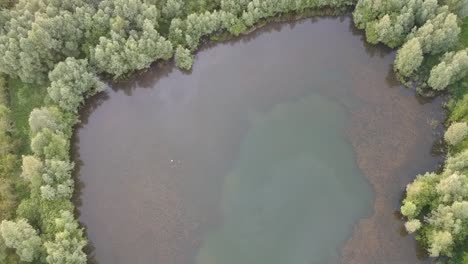 Deepwater-pond-surrounded-by-dense-forest,-aerial-fly-over-view