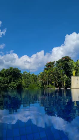 vertical view, infinity pool of tropical resort and green vegetation under blue sky pov