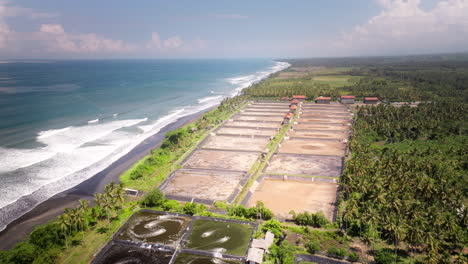 cielo azul, fondo del horizonte, instalación de cultivo de camarón indonesio, aérea