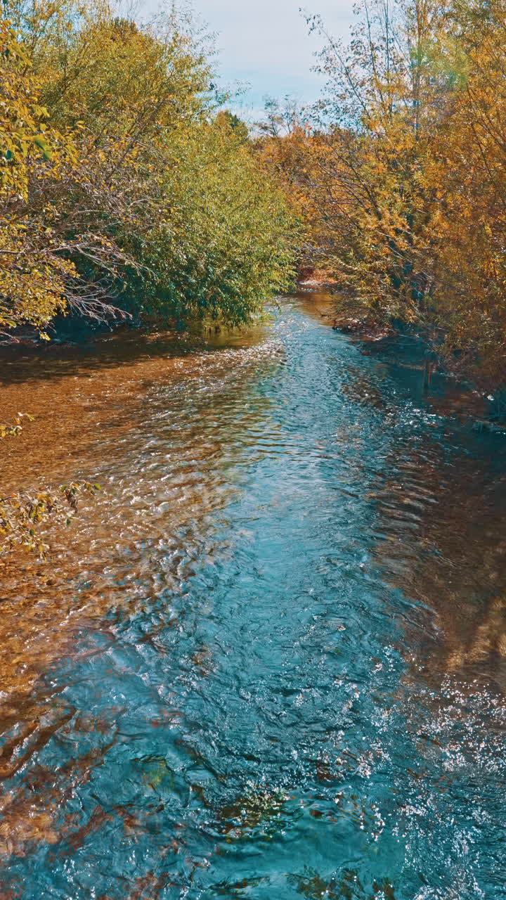 Acqua limpida che scorre in un sereno fiume autunnale