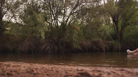 Landscape-of-a-river-and-dog-running-during-a-sunny-day