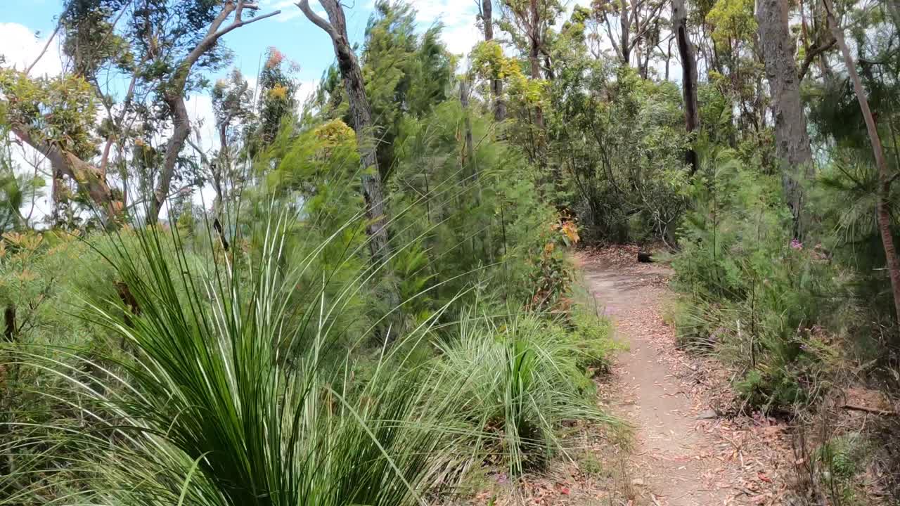 un viaje a través de un exuberante paisaje montañoso.