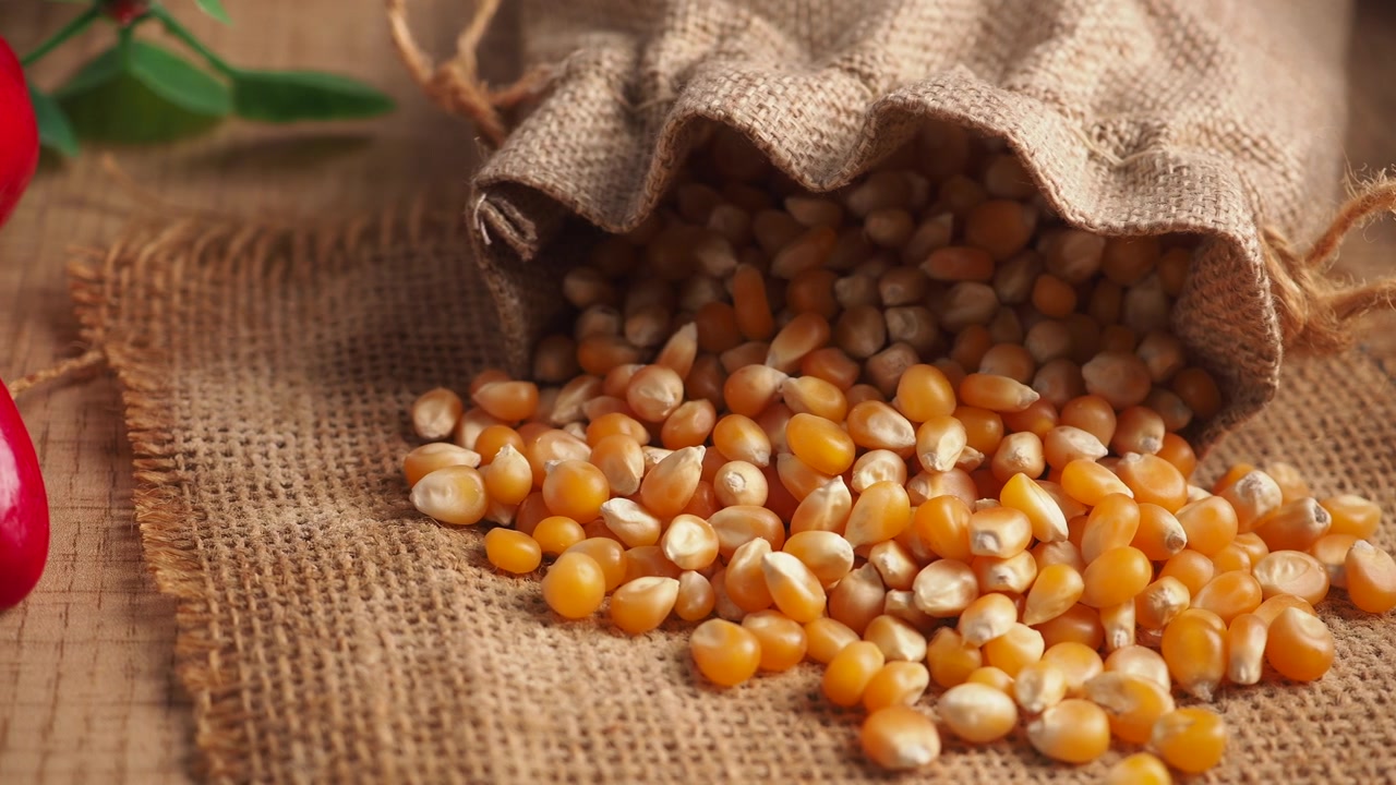 Primo piano di chicchi di mais crudi per popcorn che fuoriescono da un sacco di iuta