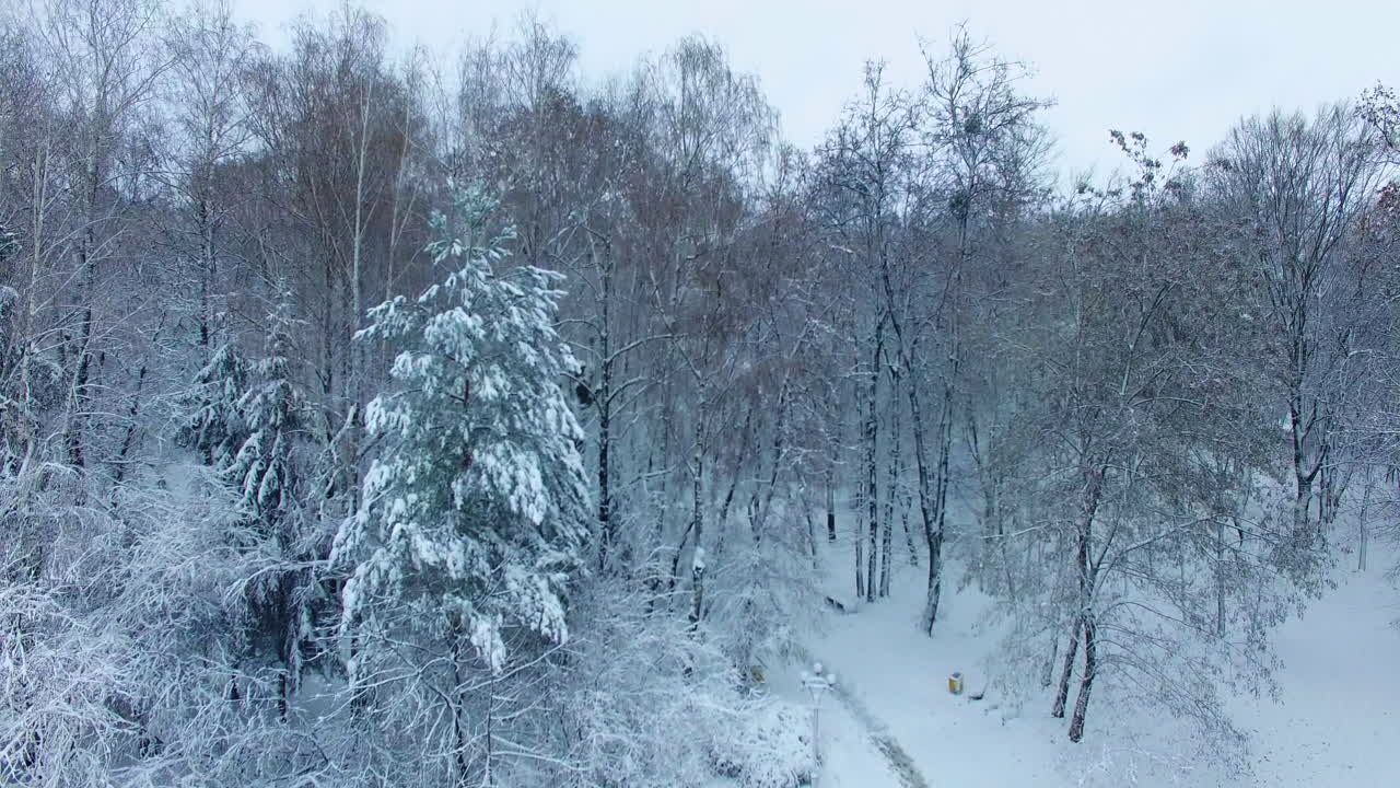White snow covering the ground and trees in the city park. Drone rising over the beautiful panorama in winter season.