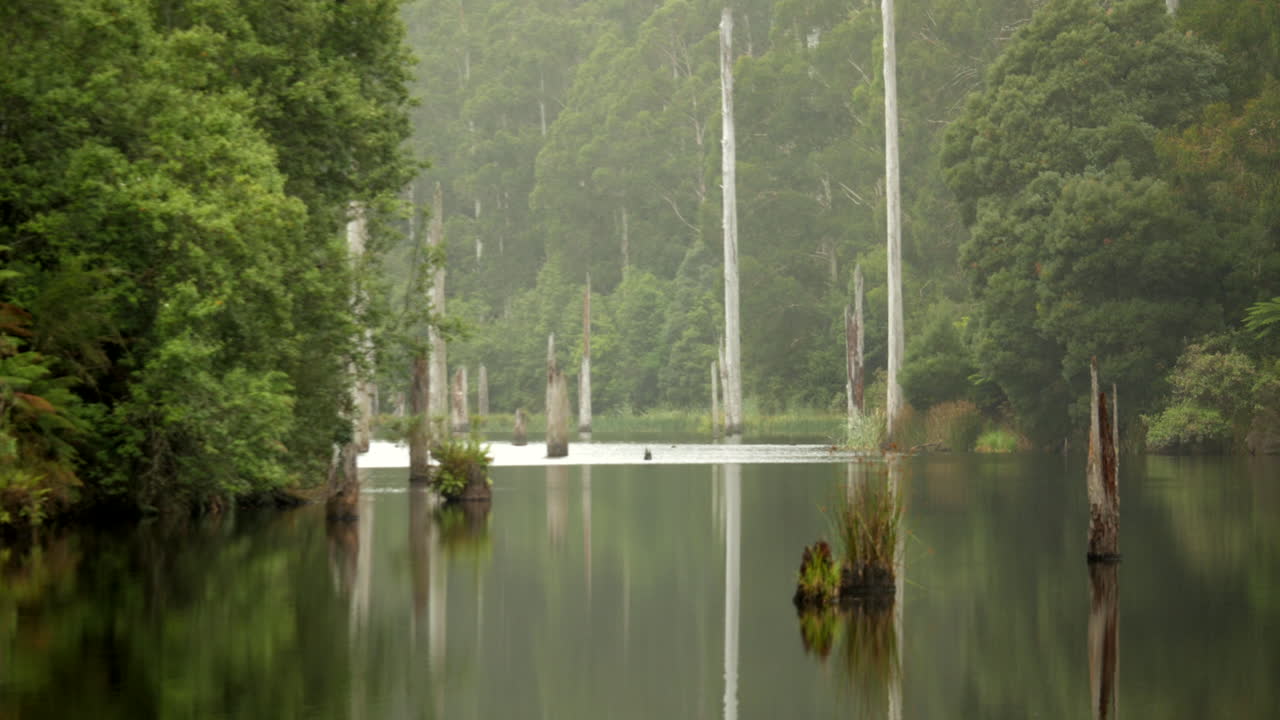 오트 웨이 산맥 열대 우림 국립 공원, 빅토리아 호주에 위치한 아름다운 호수 엘리자베스