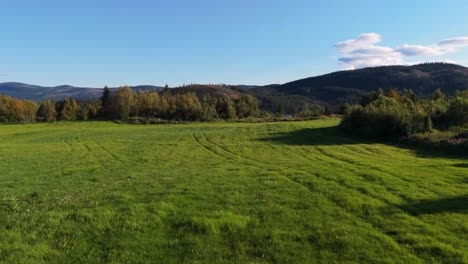 aerial view of a lush green grass field bordered by trees, with forest and mountains in the background