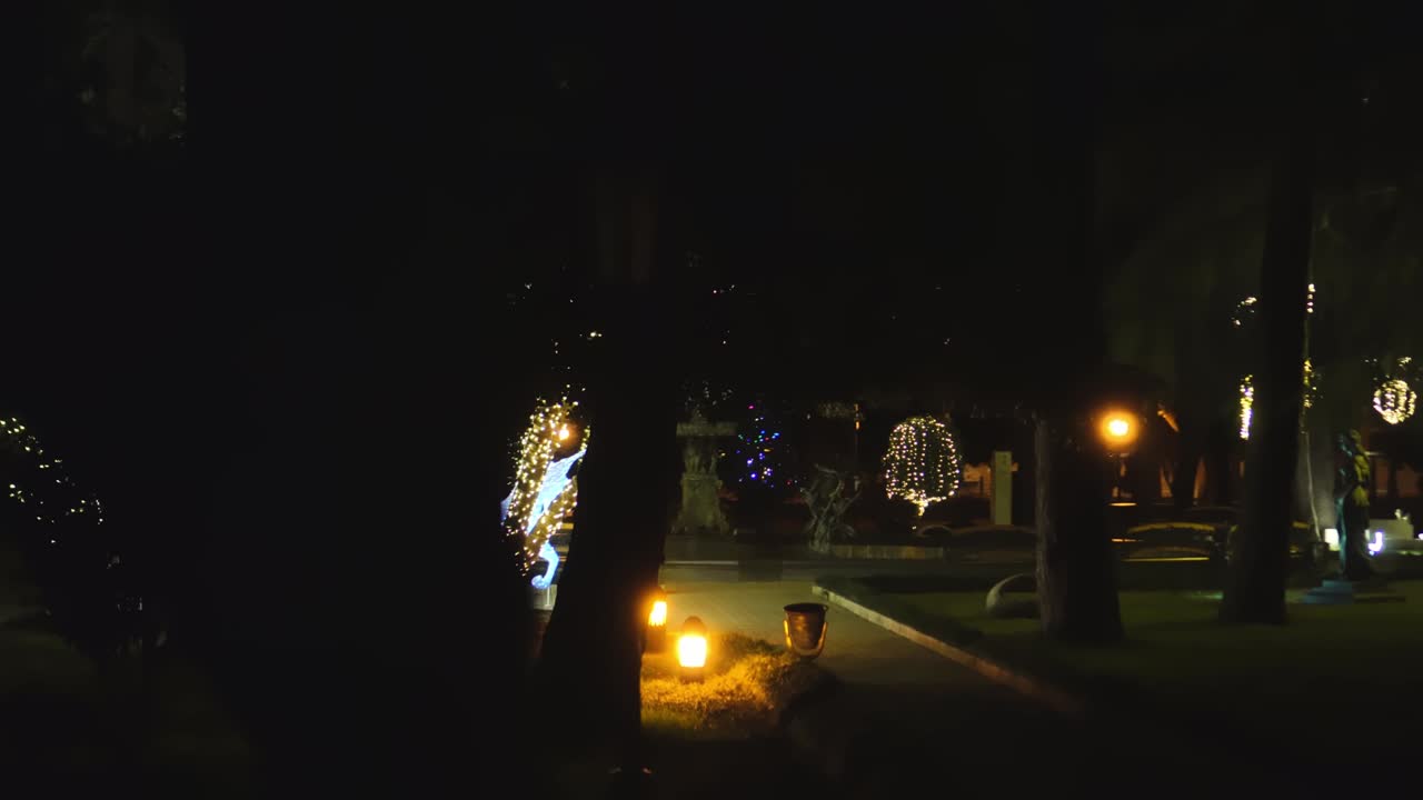 Fairy lights in the Christmas park at night in Batumi in Georgia,