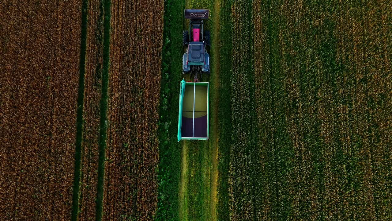 Tractor with trailer collecting crops on farm field. Aerial following shot