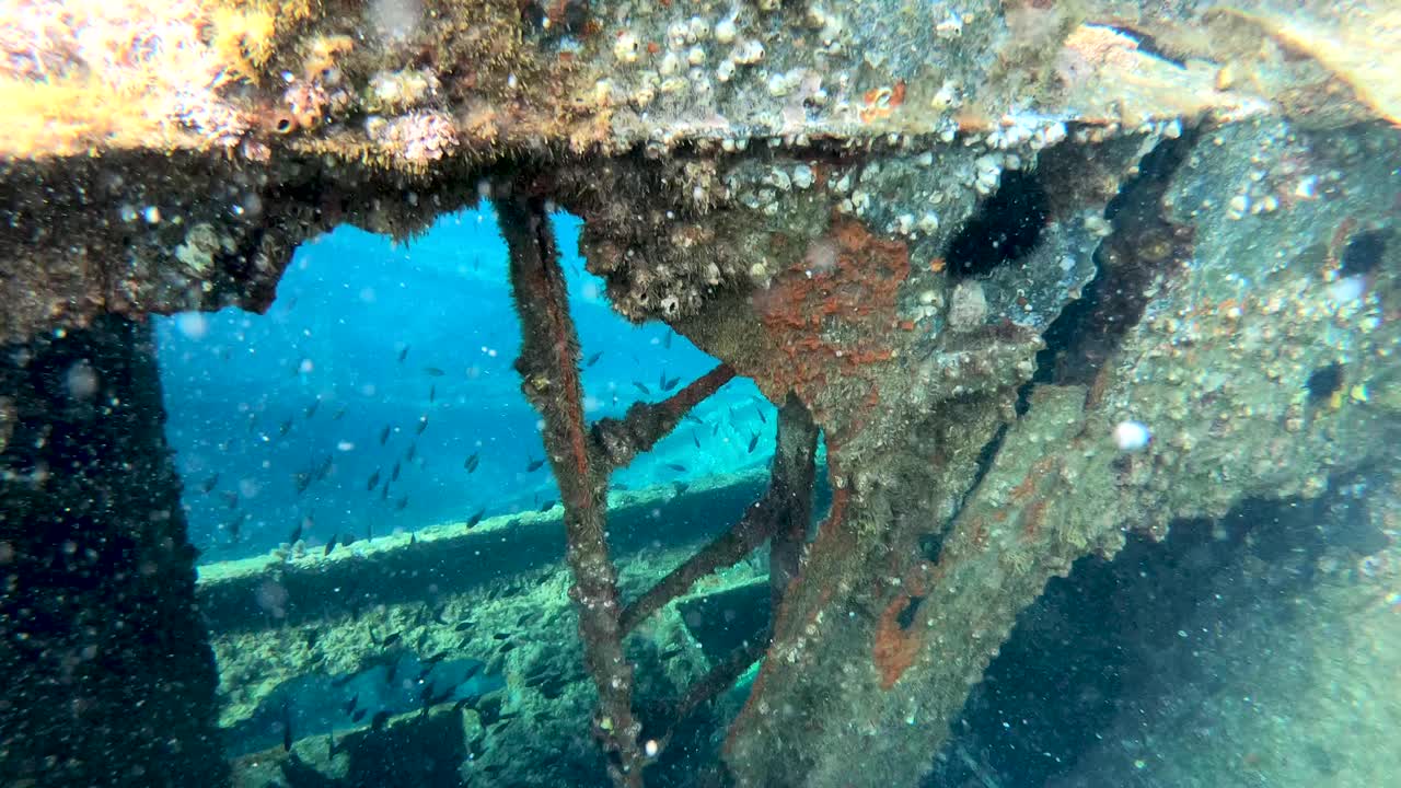 burbujas de aire y banco de peces