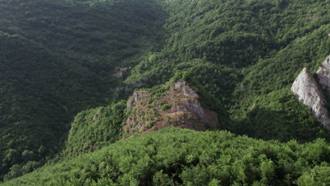 Aerial-view-of-The-ruins-of-fortress-Komotin-in-the-middle-of-a-forest