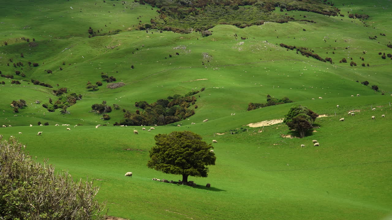 Paesaggio spettacolare della Nuova Zelanda.