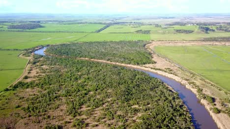 Vista-Aérea-De-La-Vegetación-Nativa-Y-Los-Campos-Agrícolas-A-Lo-Largo-Del-Río-Tarwin-Cerca-De-Tarwin-Lower,-Victoria,-Australia