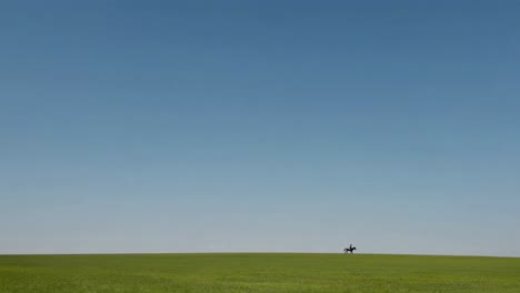 solitary rider in a vast field