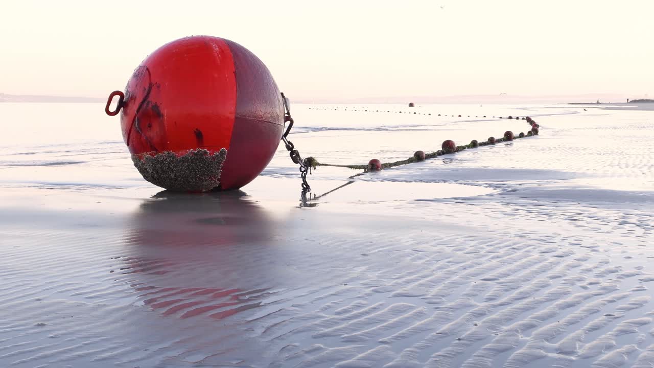 A row of small red buoys lies on the beach, attached to an big anchor buoy as the tide gently washes in