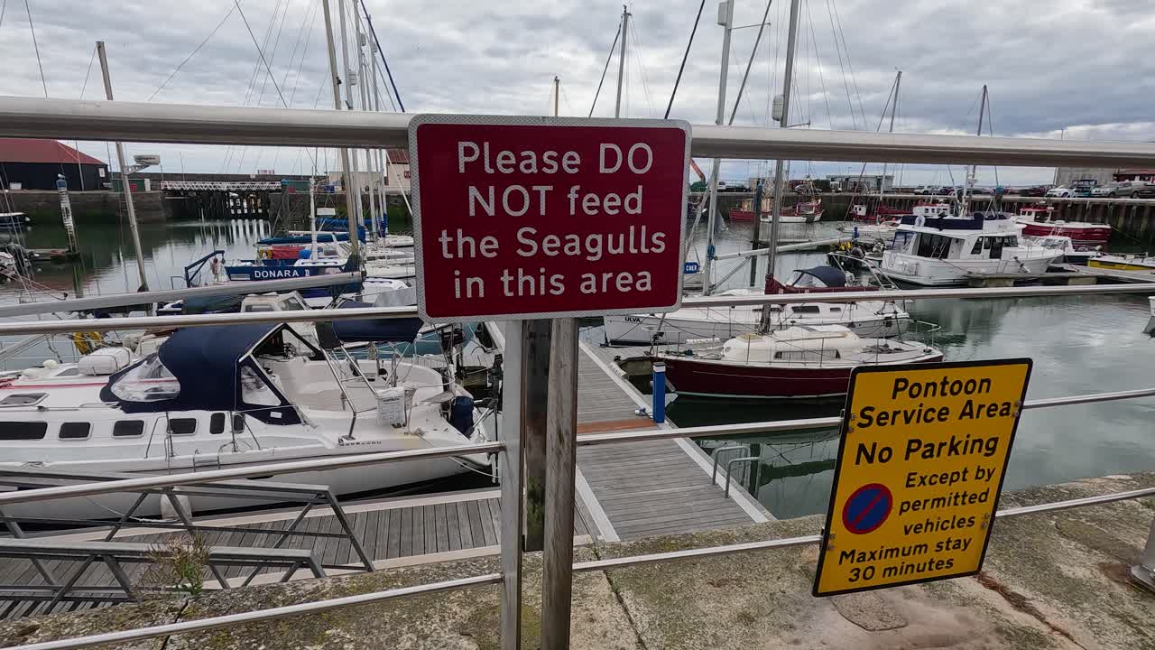 Camera slowly zooms on marina warning signs, yachts docked, overcast daylight, waterfront setting