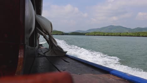 a serene journey on water with lush greenery