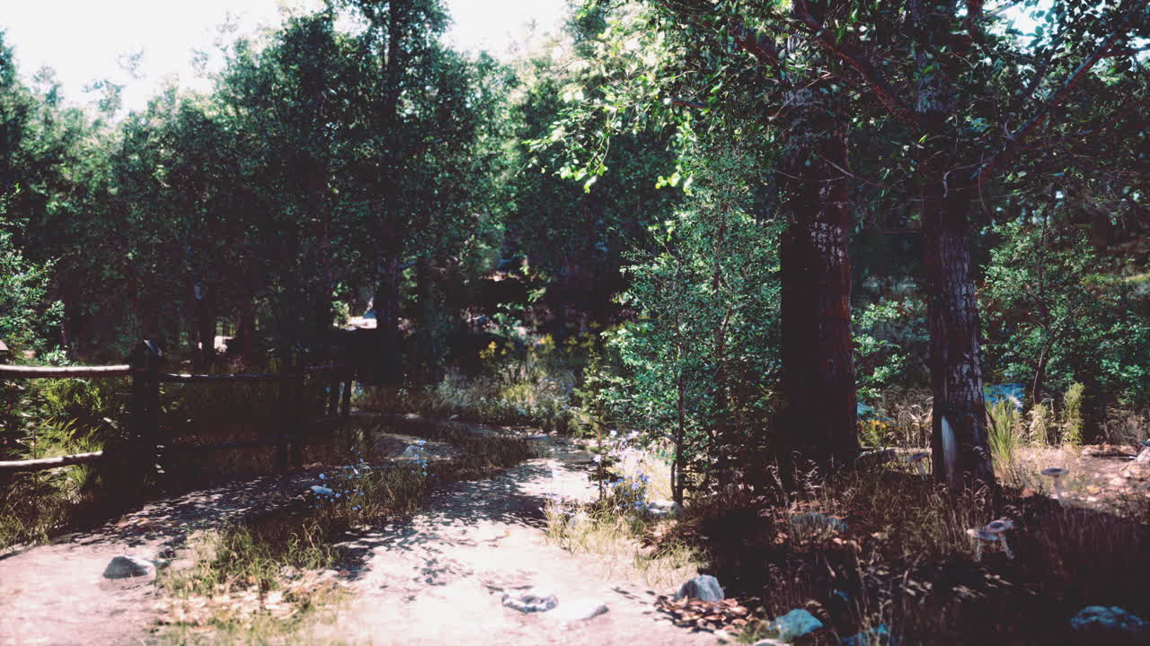 숲 속의  ⁇ 길이나 진 ⁇ 길