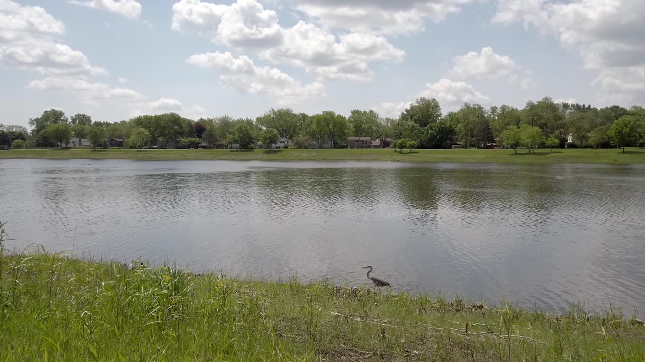 백그라운드에서 프레임을 건너 노 젓는 사람