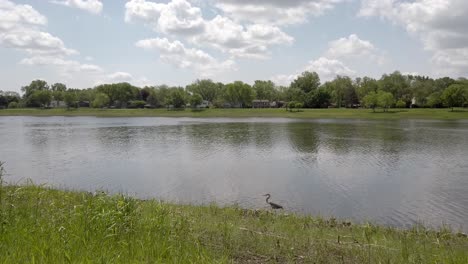 Rower-crossing-the-frame-in-the-background