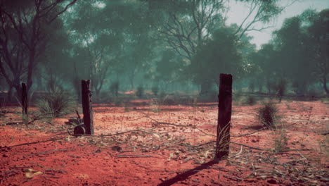 Detail-of-old-rural-fencing-with-shallow-focus