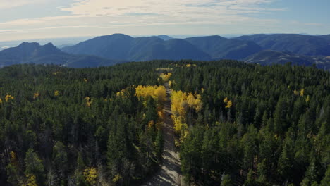 Aerial-of-beautiful-dirt-mountain-road-during-fall-with-yellow-aspens,-4K