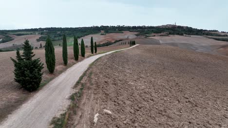 siguiente callejón de cipreses con vista sobre siena, val d orcia - toscana