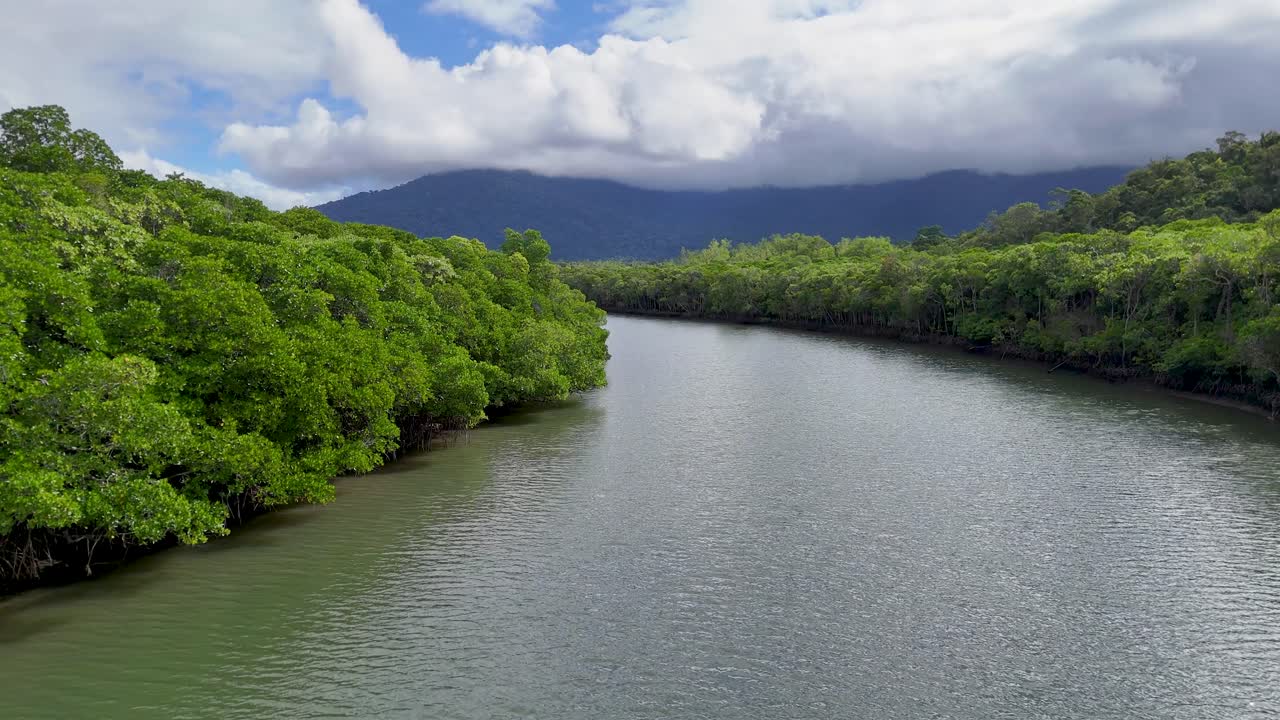 Aerial view of lush mangroves along the Daintree River under bright, cloudy skies