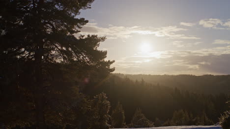 Super-wide-shot-of-a-small-valley-near-Ulm,-Germany