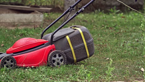 male's legs in shorts mows grass with lawn mower in summer. red lawn mower is cutting long green grass on the backyard outdoors.