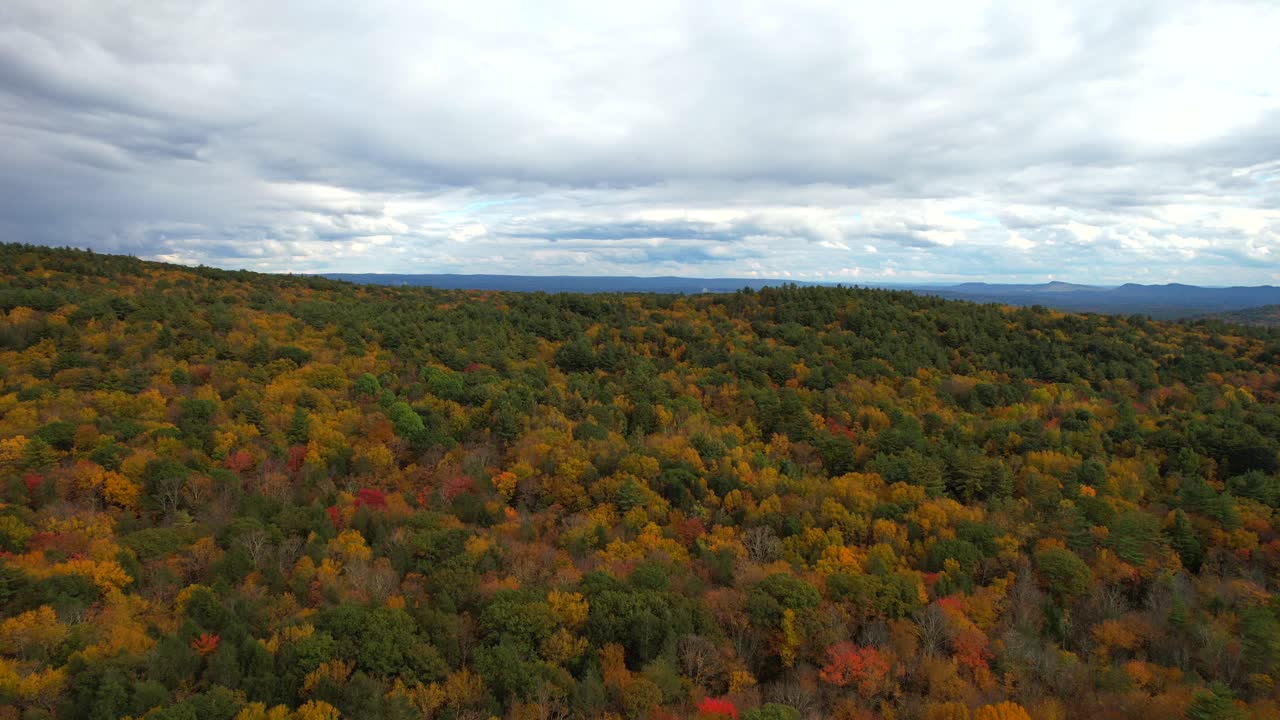 los bosques de color otoño del oeste de massachusetts en un día lluvioso, mostrando los densos árboles de color rojo naranja contra un telón de fondo de nubes con vislumbres del cielo azul