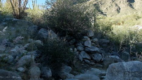 trailblazing through the wilderness of the mysterious dry rocky pathway of the desert of arizona