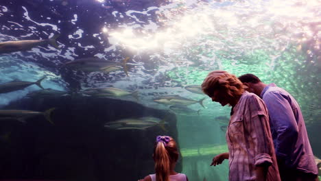 happy family looking at fish