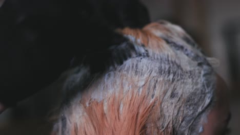 hair dyeing in a hair dressing studio