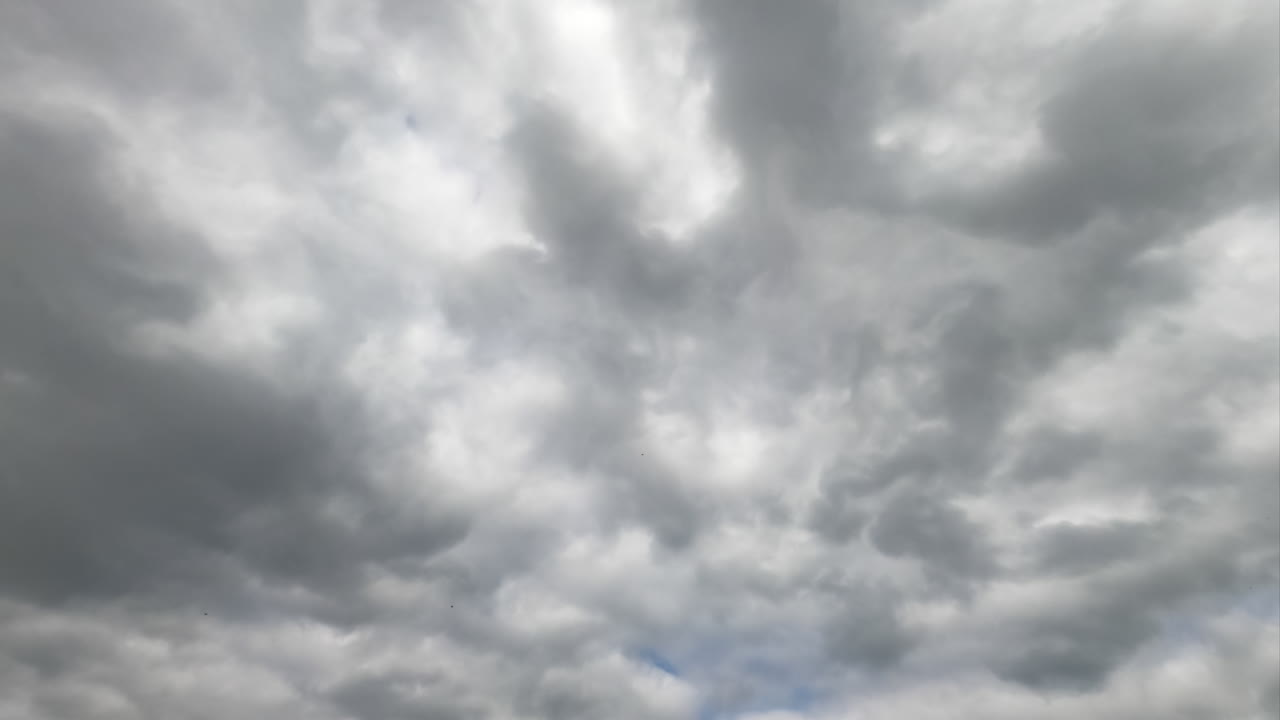 Thick cumulus clouds gathering in the sky. Quick cloudscape transformation timelapse. Low angle view.
