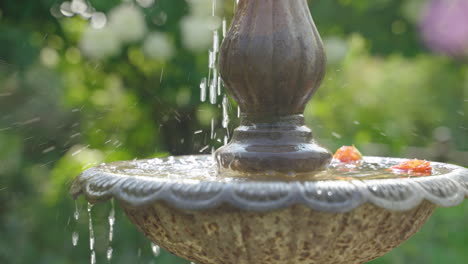 Slow-Motion Fountain in Focus Behind Out-of-Focus Blooming Flowers in Garden