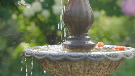 slow-motion fountain in focus behind out-of-focus blooming flowers in garden