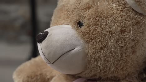 close-up of a plush teddy bear with a friendly smile and soft fur