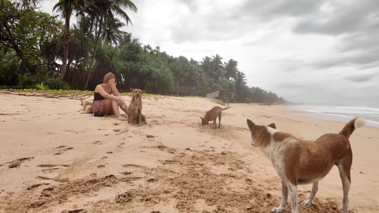 European woman and wild dogs South Sri Lanka Indian ocean tropical landscape