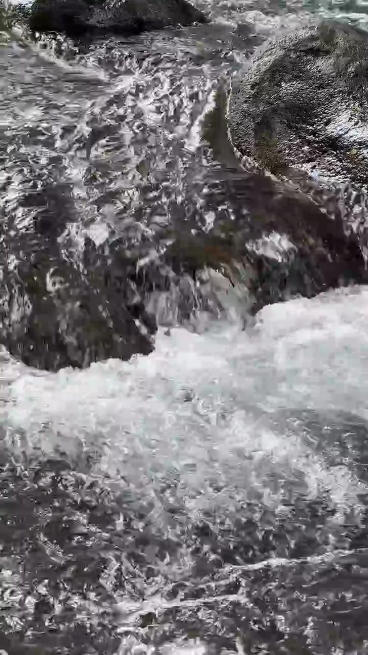 Acqua limpida che scorre su rocce scure in un ruscello di montagna