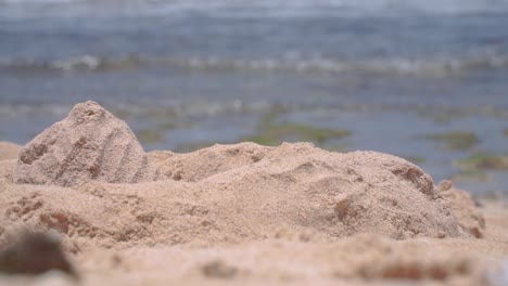 Close-up-focused-sandy-beach-blurred-sea-waves