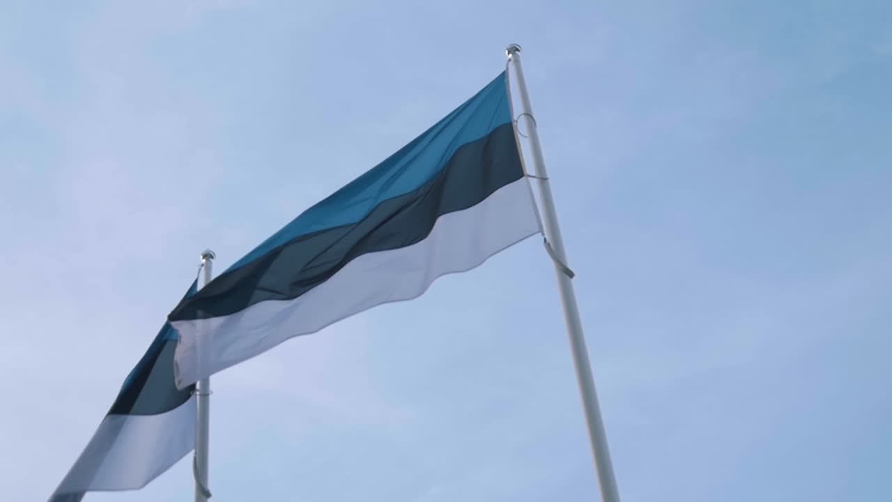 dos banderas de estonia ondeando al viento en cámara lenta azul cielo procedencia