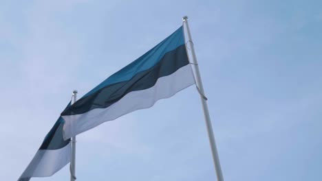 two flags of estonia waving at wind in slow motion blue sky backround