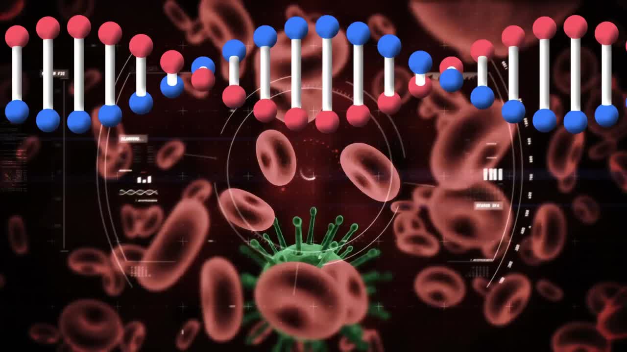 Animazione di un filamento di DNA che ruota sopra globuli rossi