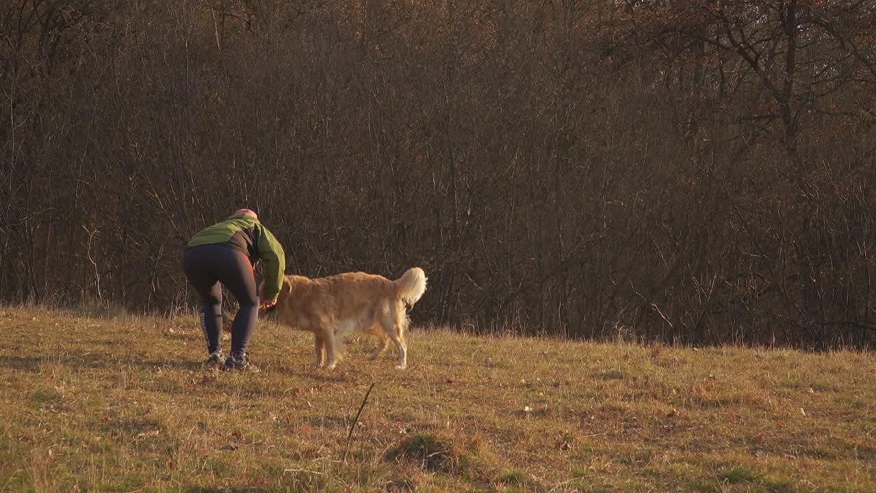 mujer jugando a traer con ansioso golden retriever con la cálida luz de la tarde