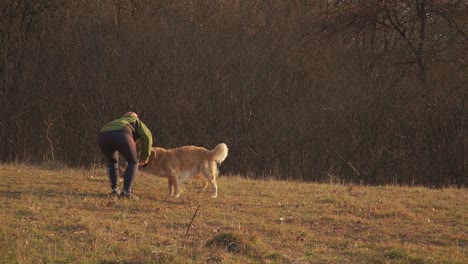 Woman-playing-fetch-with-eager-golden-retriever-with-warm-evening-light